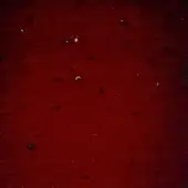 ROSSO SFUMATO NERO